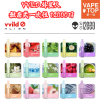 〖 VapeTop第一味 〗Vvild小野 外星人 12000口
